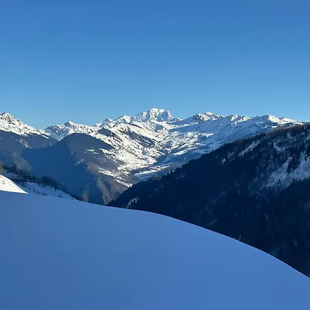 Les Racines Et Les Cimes *