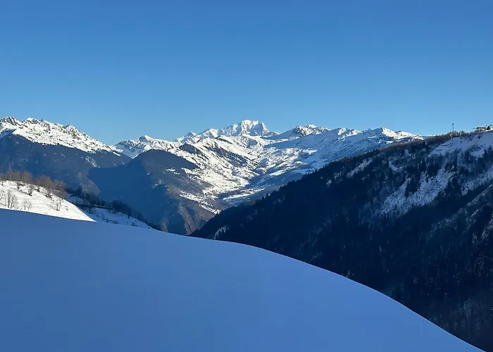 Les Racines Et Les Cimes *